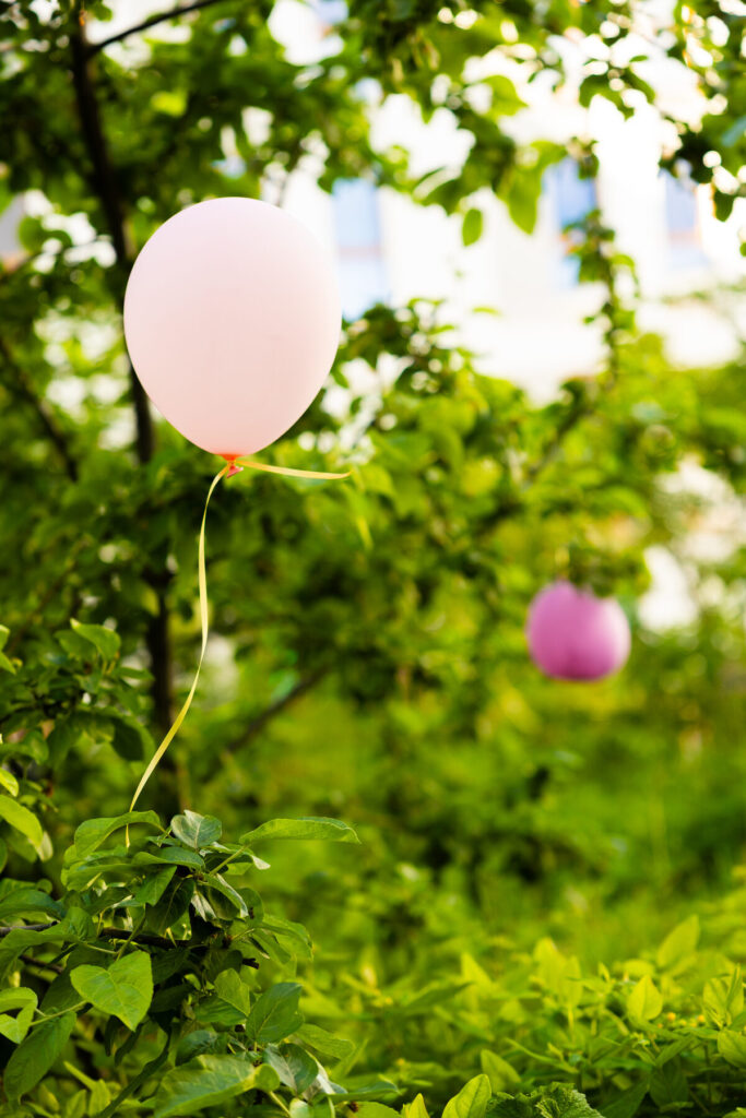 Backyard Party, Foto 2